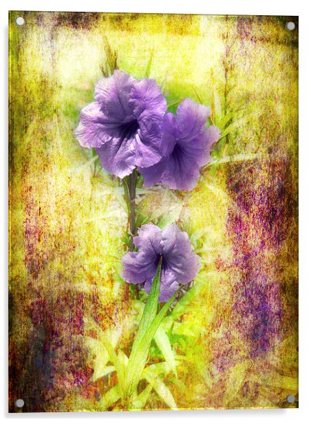 Flowering Mexican Petunias 2 Acrylic by Judy Hall-Folde