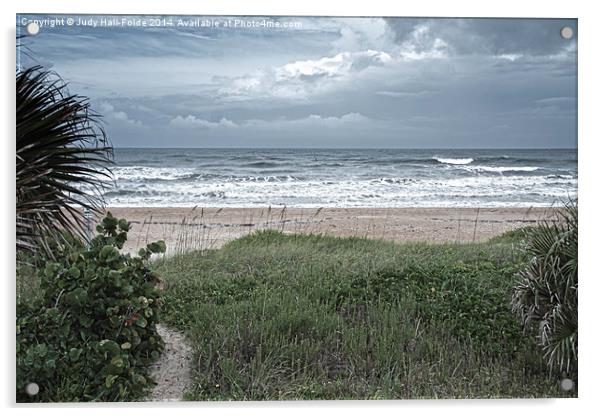 Flagler Beach Path Acrylic by Judy Hall-Folde