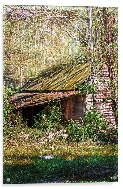  Tin Roof Rusted Acrylic by Judy Hall-Folde