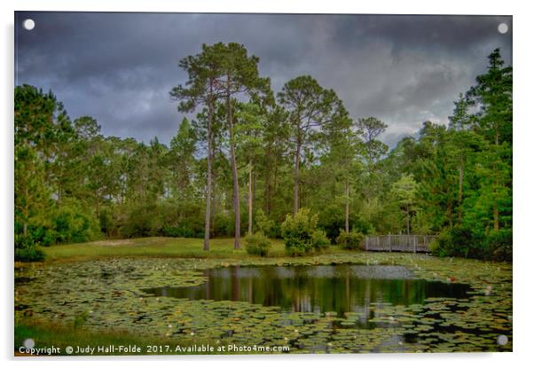 Tranquil Pond Acrylic by Judy Hall-Folde