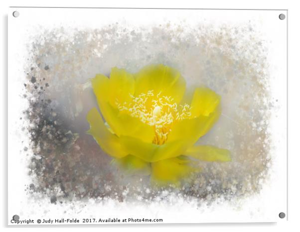 Cactus Flower Acrylic by Judy Hall-Folde