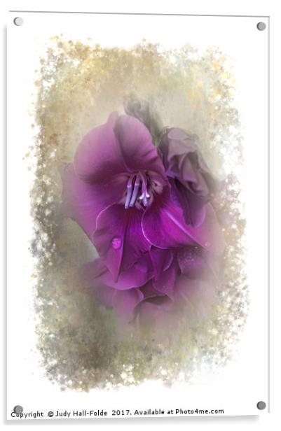 Purple Gladiolas Acrylic by Judy Hall-Folde