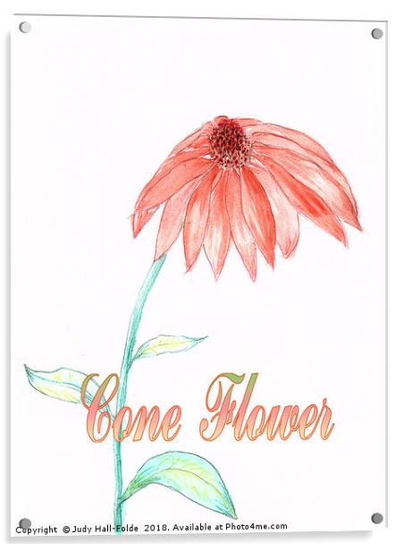 Cone Flower Acrylic by Judy Hall-Folde