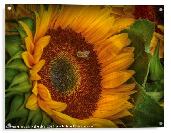 Bee-ing Happy Acrylic by Judy Hall-Folde