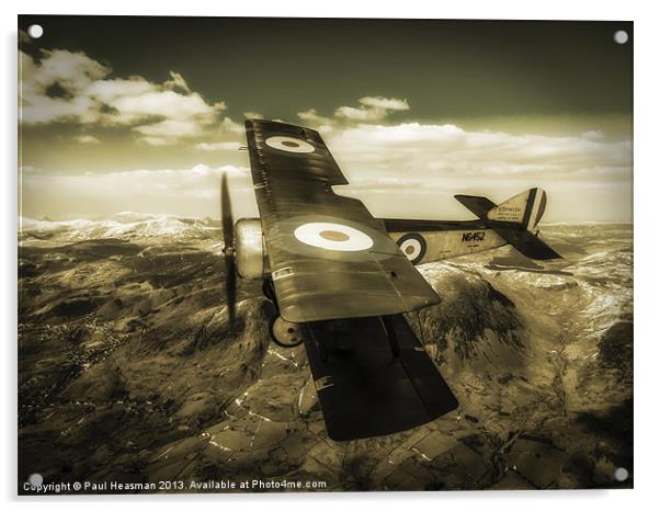Sopwith Pup Fighter Acrylic by P H