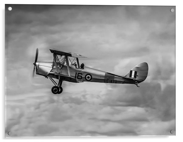 De Havilland Tiger Moth Acrylic by P H