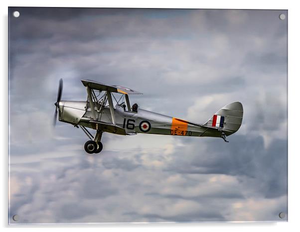 DH Tiger Moth Colour Acrylic by P H