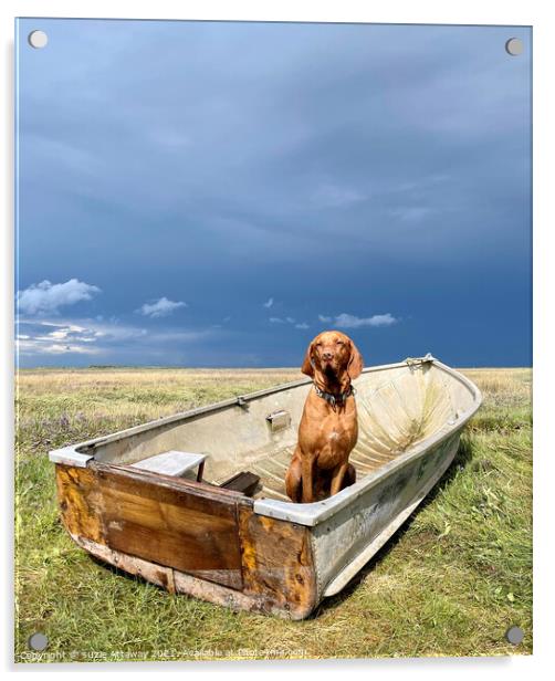 Dog in a boat, Brancaster, Norfolk Acrylic by suzie Attaway