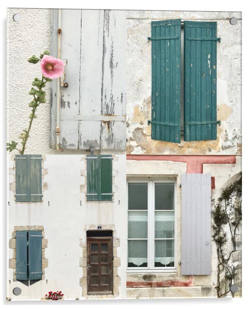Shutters and windows, Ile De Re, France Acrylic by suzie Attaway