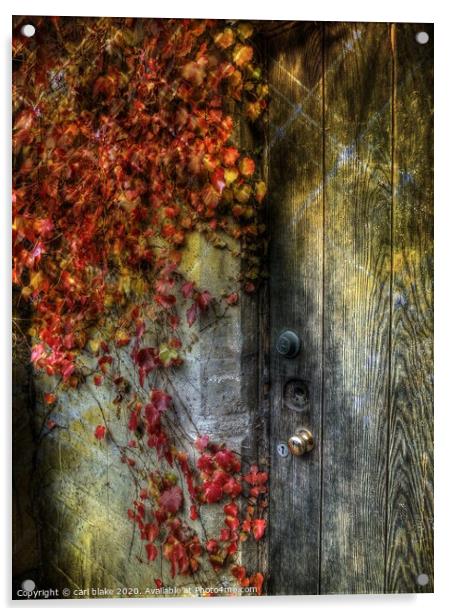 the door Acrylic by carl blake