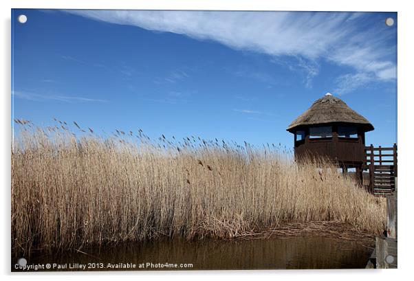 The Lookout Acrylic by Digitalshot Photography