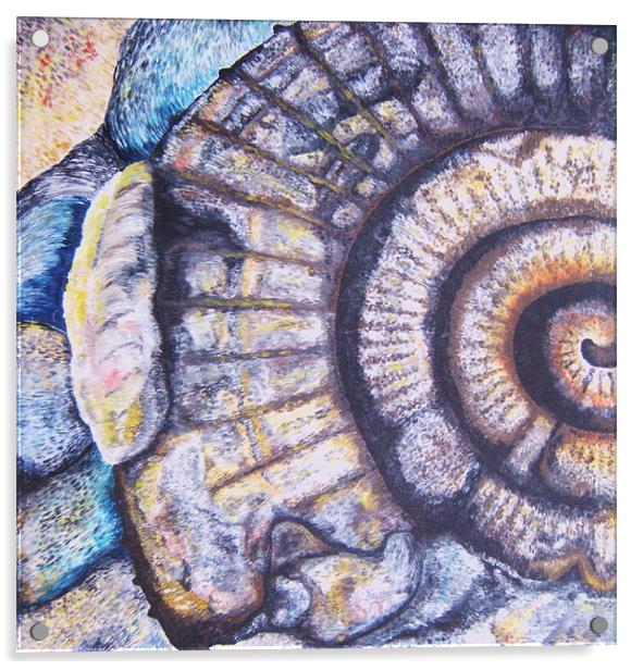 Ammonite Life Study Acrylic by Phiip Nolan