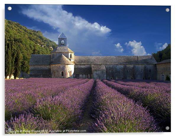 Lavender Fields in France Acrylic by Philip Pound