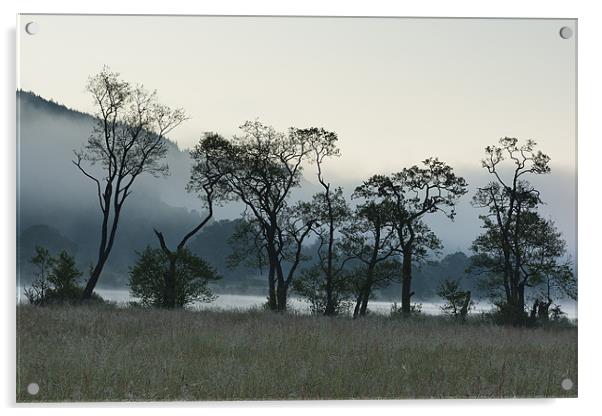 Scotch Mist at Loch Achray Acrylic by Philip Pound