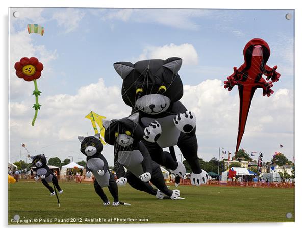 Giant Kites at Blackheath Acrylic by Philip Pound