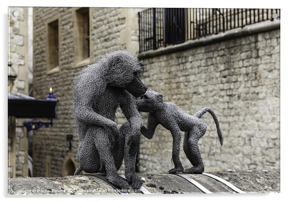 Monkeys at Tower of London Acrylic by Philip Pound