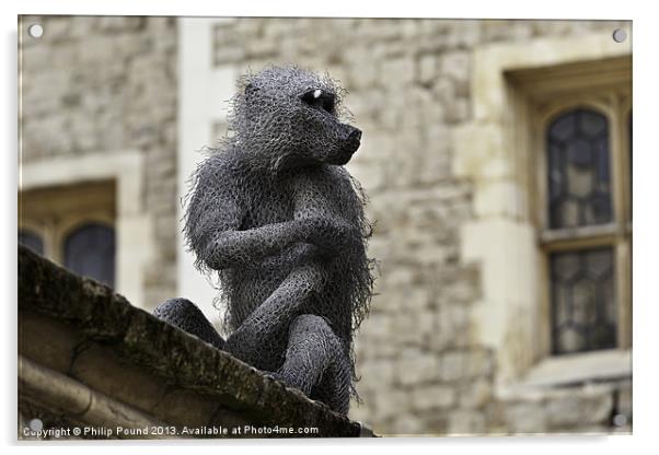 Monkey at Tower of London Acrylic by Philip Pound
