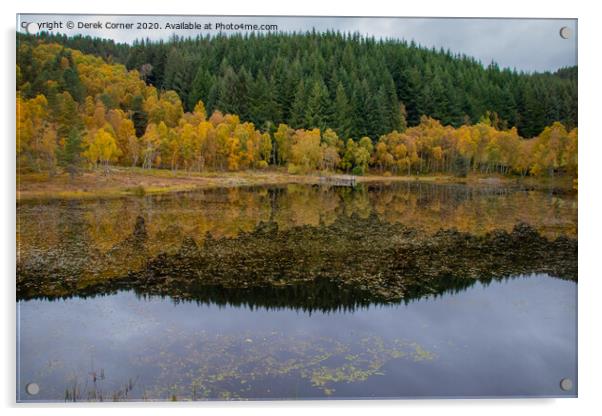 Reflections in Highland lochan Acrylic by Derek Corner