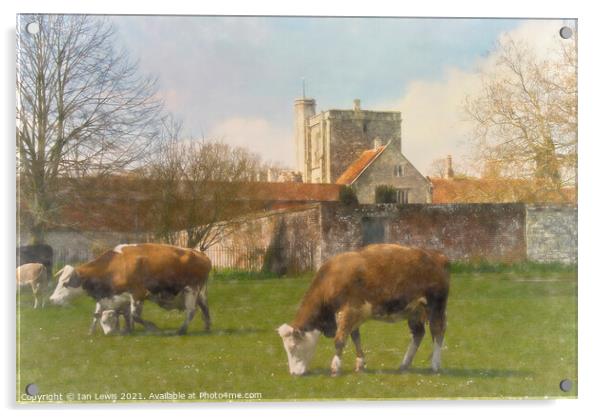 Cows and Calves by St Cross Acrylic by Ian Lewis