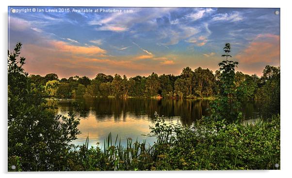  Sunset At Black Swan Lake Acrylic by Ian Lewis