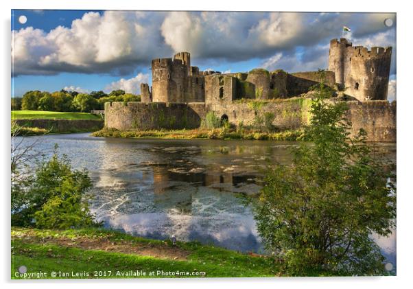 Caerphilly Castle Moat Acrylic by Ian Lewis