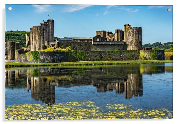 The Towers Of Caerphilly Castle Acrylic by Ian Lewis