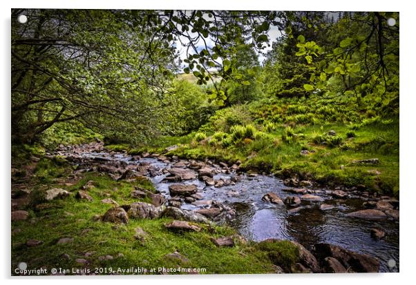 Afon Caerfanell Above Talybont Reservoir Acrylic by Ian Lewis