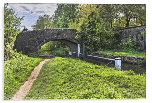 Shipton on Cherwell Canal Bridge Acrylic by Ian Lewis