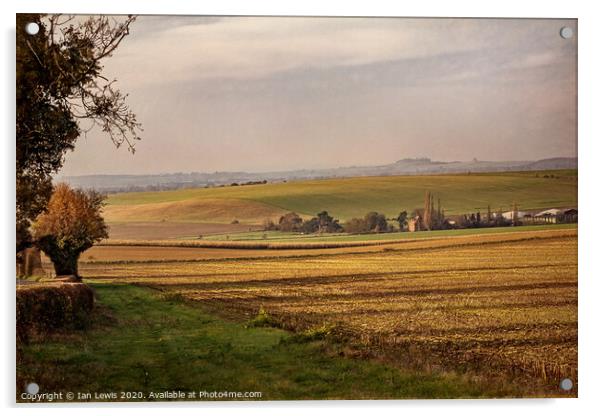 Thames Valley Autumn Afternoon Acrylic by Ian Lewis