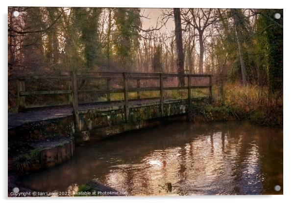 Woodland Bridge Over The River Pang Acrylic by Ian Lewis