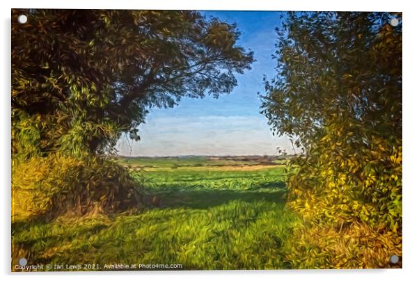 A Gap In The Hedgerow Acrylic by Ian Lewis