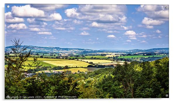 Herefordshire Countryside Acrylic by Ian Lewis