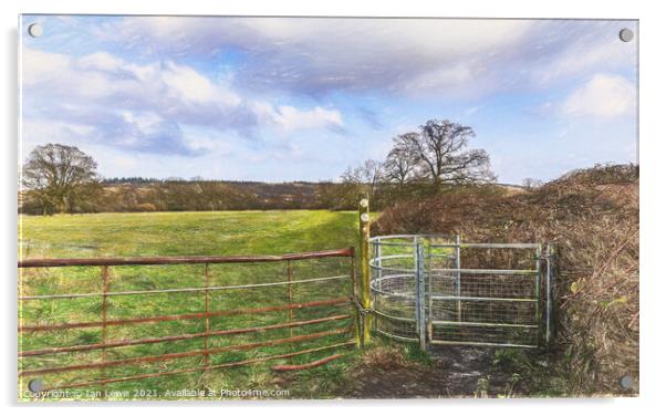 Gateway To The Meadow Acrylic by Ian Lewis