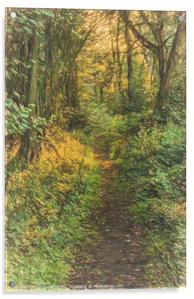 A Woodland Path Acrylic by Ian Lewis