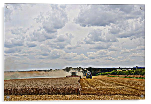 Harvest at Langham, Norfolk Acrylic by Paul Betts