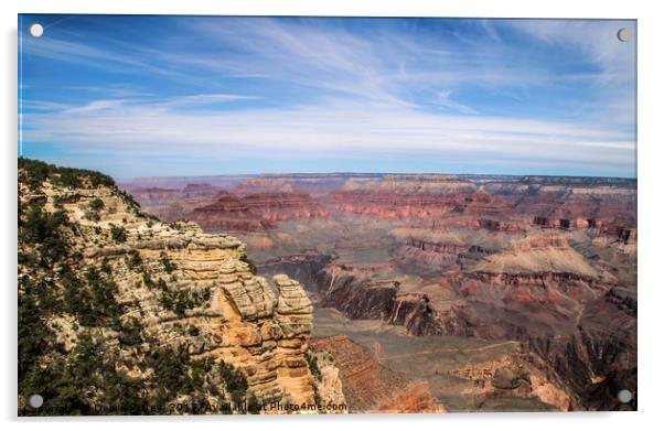 Grand Canyon Acrylic by Debra Farrey