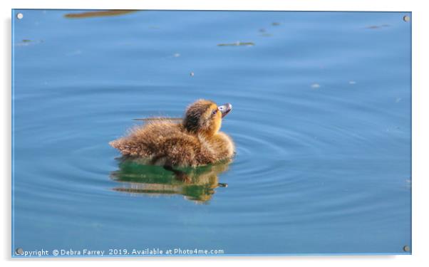 Soaking up the Sun Acrylic by Debra Farrey