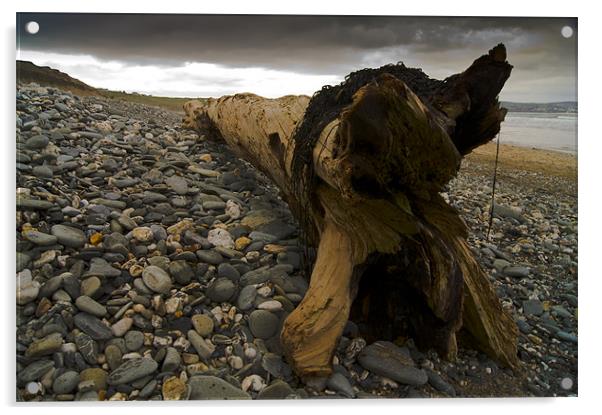 driftwood Acrylic by keith sutton