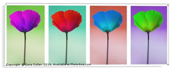 Funky Poppies Acrylic by Dave Cullen