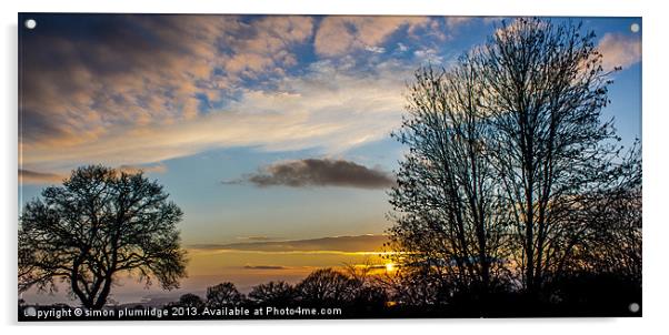 Devon Sunset Acrylic by simon plumridge
