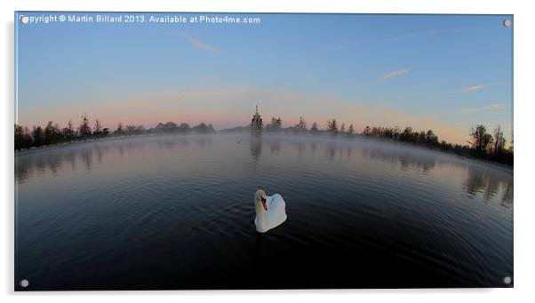 Swan on the pond Acrylic by Martin Billard