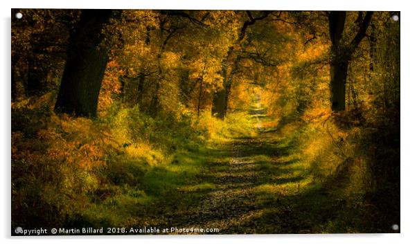 Savernake Forest, Wiltshire Acrylic by Martin Billard