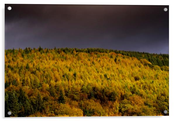 Autumn in Cwmcarn Acrylic by Andrew Richards
