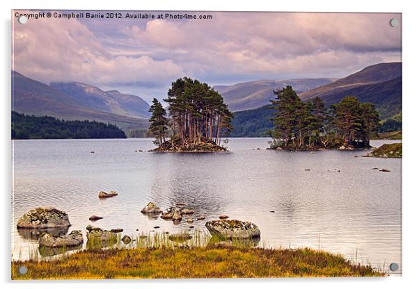 Loch Ossian Acrylic by Campbell Barrie