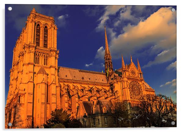 Golden Notre Dame Acrylic by Ray Shiu