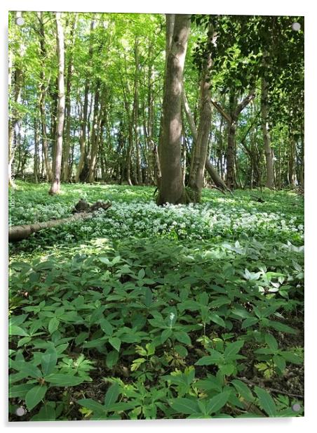 Wild Garlic at Marline Valley Woods  Acrylic by Penelope Hellyer