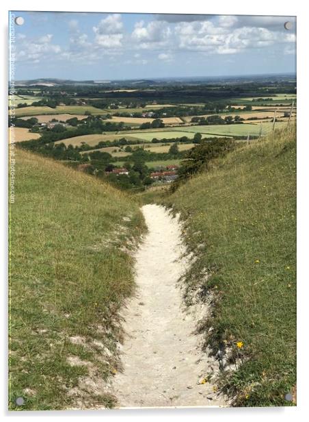 The Chalky Pathway Acrylic by Penelope Hellyer