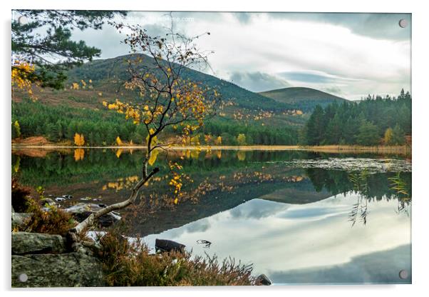 Loch Gamhna  Acrylic by Hazel Powell