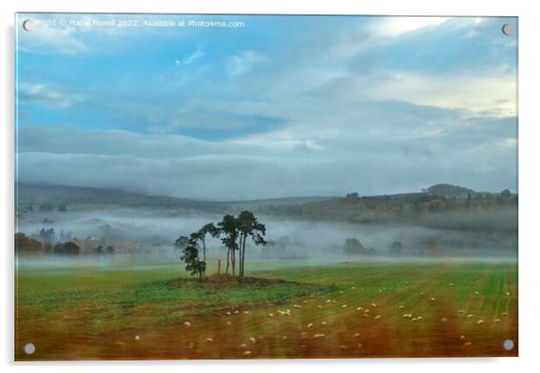 Misty View Acrylic by Hazel Powell