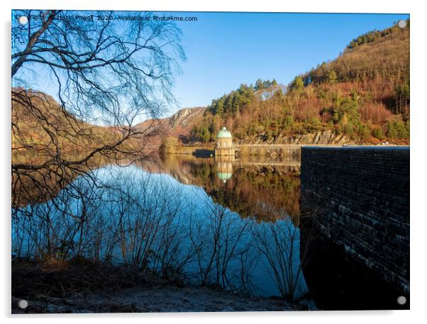 Garreg Ddu, Foel Tower Elan Valley Acrylic by Hazel Powell